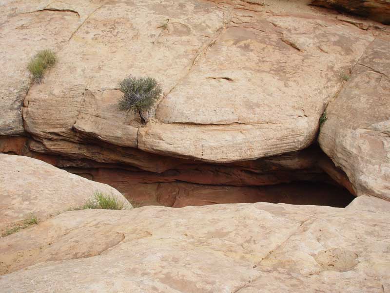Hickman trail