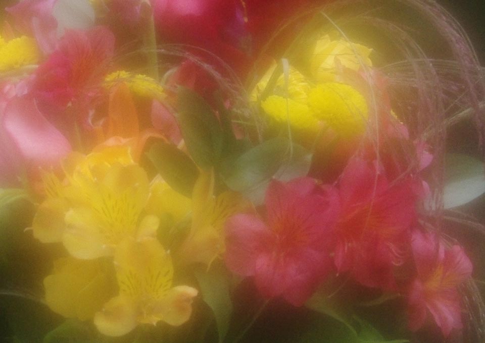 A soft bouquet detail