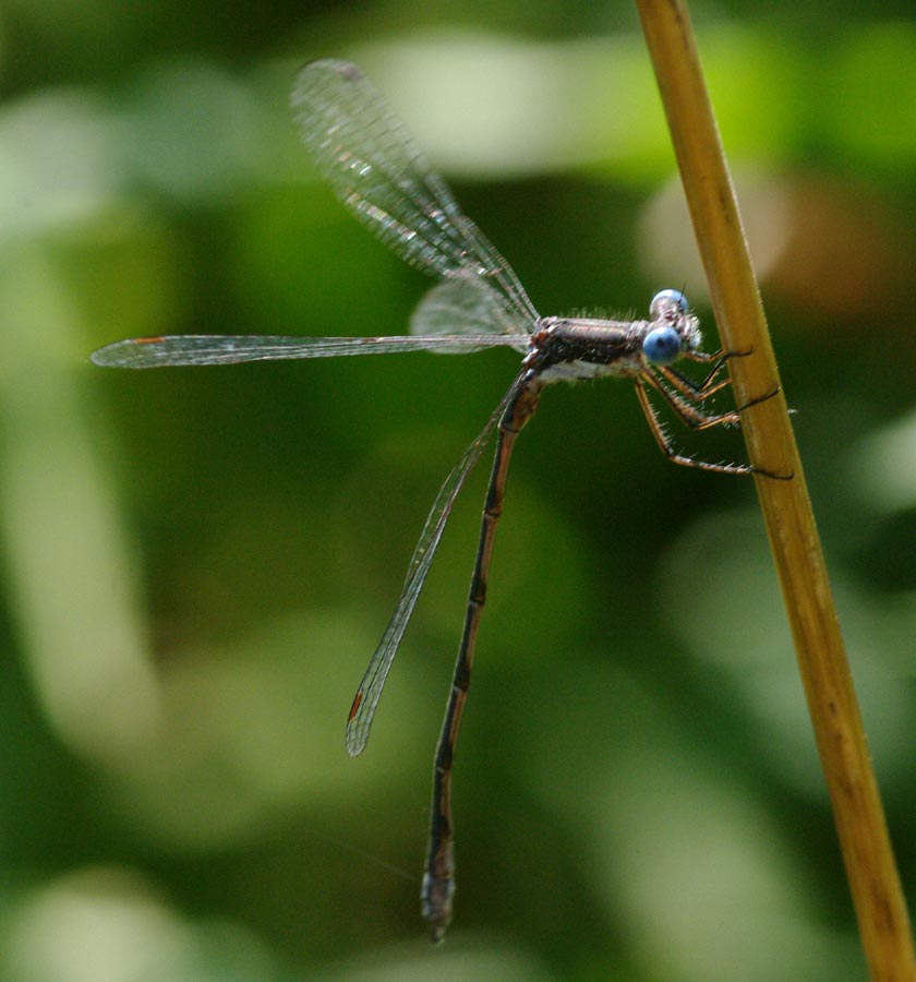 Danny yoga: How low can you go