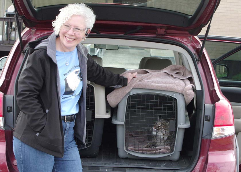 Robyn and bobcat