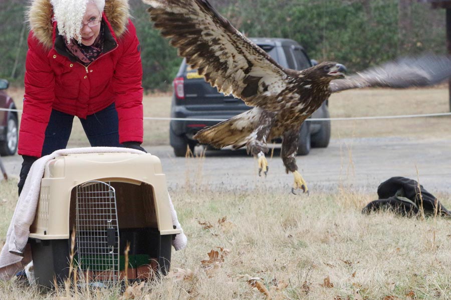 Teddy gaining  altitude