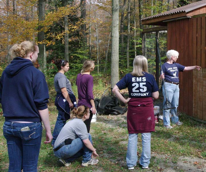 Robyn describes the work to be done