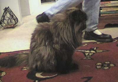 Kick-ass shoes to the stairway