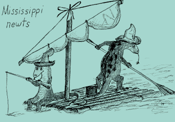 Mississippi newts