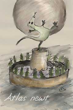 Atlas newt