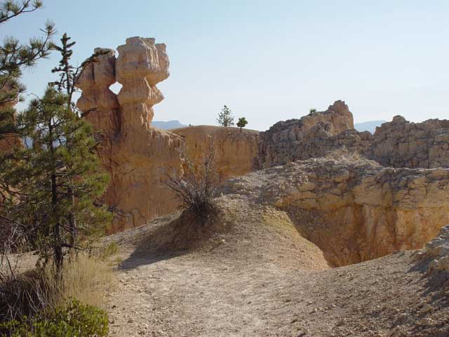 Rim trail