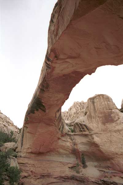 under Hickman Bridge