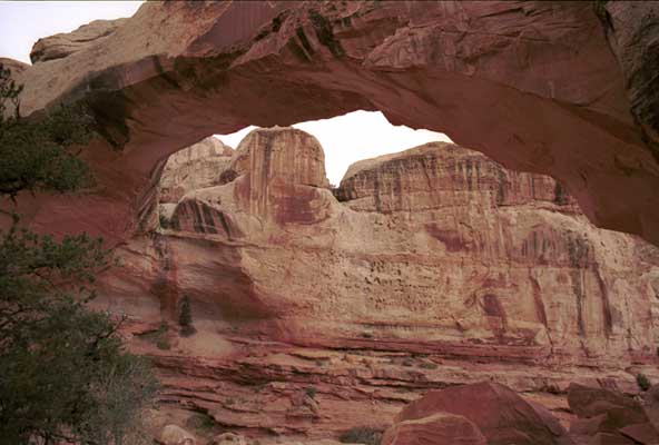leaving Hickman Bridge