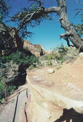 Overlook trail