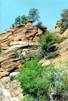 Zion telephoto