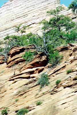 Zion telephoto