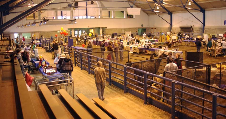 Before the arena was open.