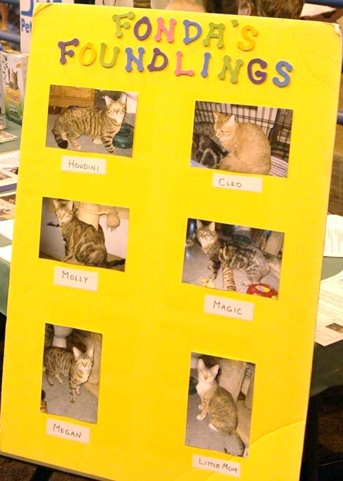 Fonda's Foundlings sign