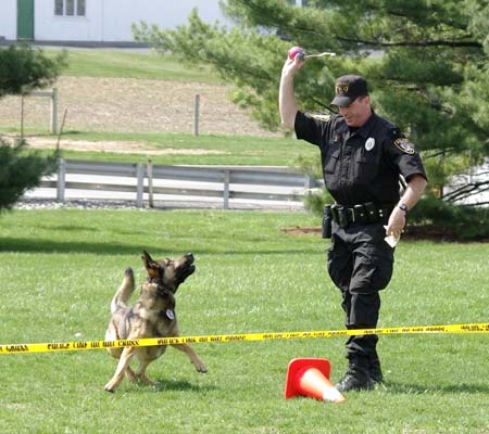 Cezar waits for Mark's toss