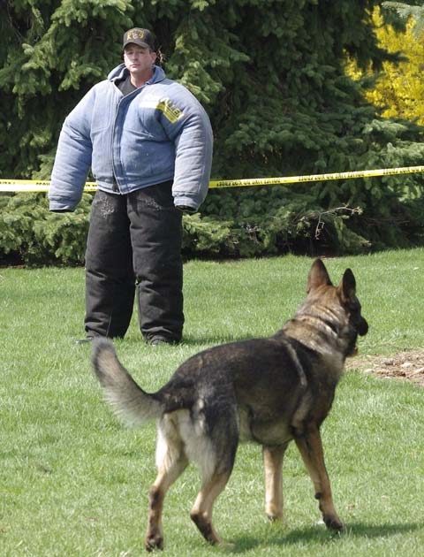 Keno and Mark eyeing each other