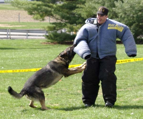 Keno apprehending Mark